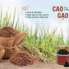 Cao gạo tím thảo dược