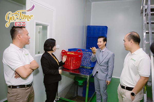 Gia Công Thực Phẩm Chức Năng Cho Phụ Nữ Cho Con Bú GOTIME ECO