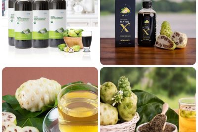 Gia Công Thực Phẩm Bổ Sung Nhàu Lên Men