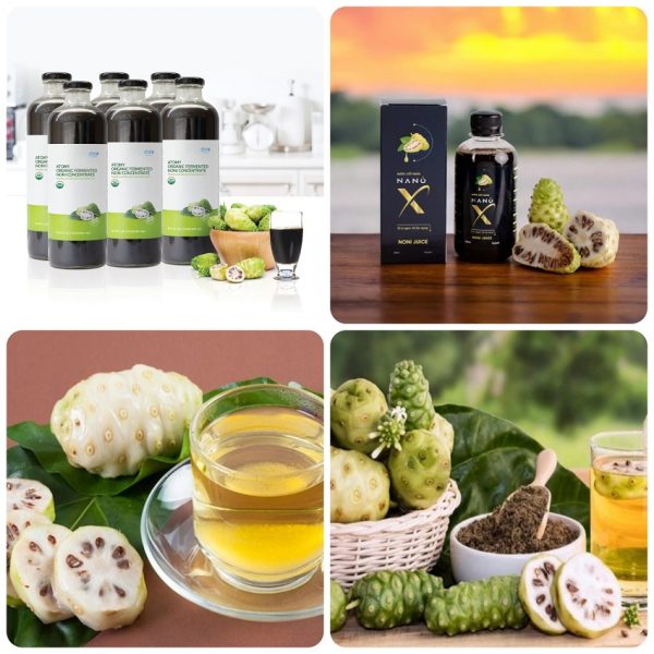 Gia Công Thực Phẩm Bổ Sung Nhàu Lên Men